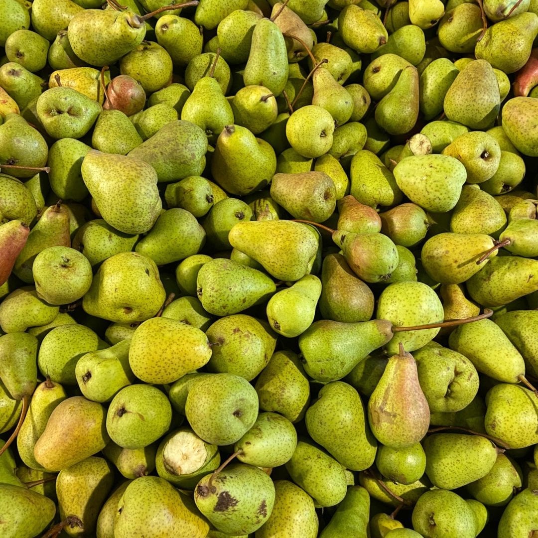 Pears ready to be juiced